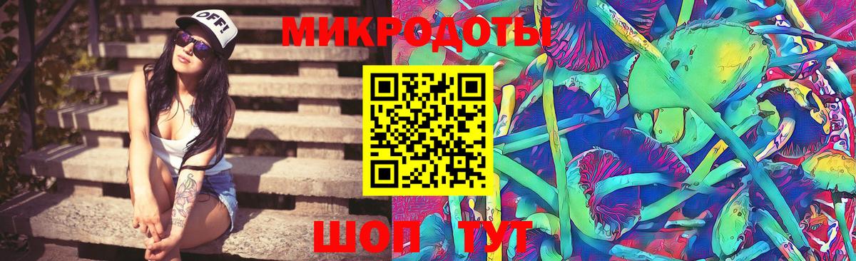Галлюциногенные грибы прущие грибы  Псилоцибиновые грибы Psilocybe  Вход с VPN  Тихвин 