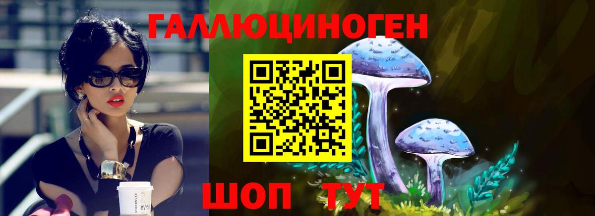Псилоцибиновые грибы Cubensis Тихвин